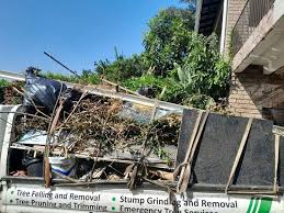 Best Electronics and E-Waste Disposal  in Corrales, NM