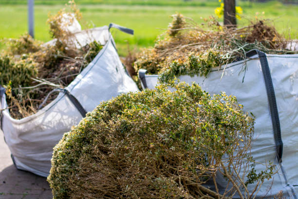 Best Construction Debris Removal  in Corrales, NM