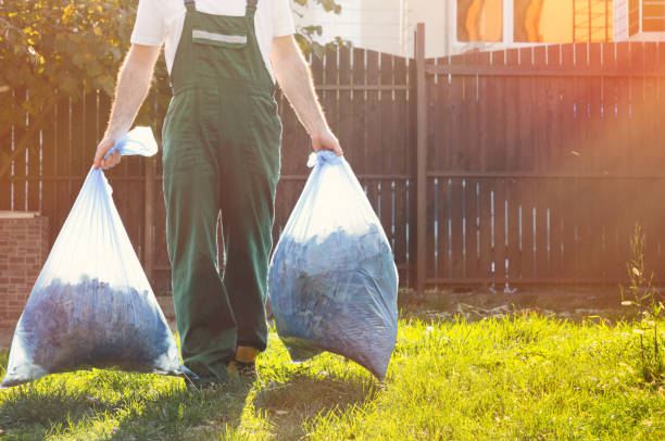 Best Furniture Removal  in Corrales, NM